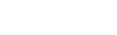 Wildzy Casino Software